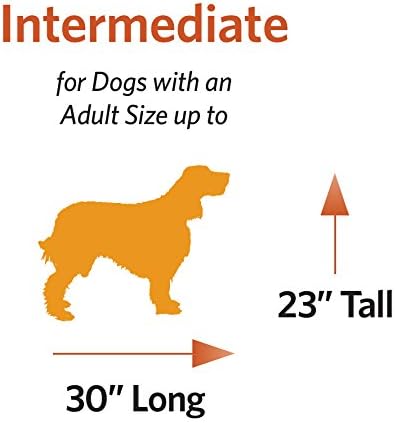 MidWest Homes for Pets Newly Enhanced Single & Double Door iCrate Dog Crate, Includes Leak-Proof Pan, Floor Protecting Feet, Divider Panel & New Patented Features