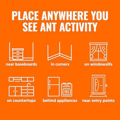 TERRO Ant Killer Bait Stations T300B - Liquid Bait to Eliminate Ants - 12 Count Stations for Effective Indoor Ant Control