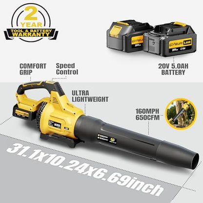 Leaf Blower Cordless, 650CFM & 3 Speed Levels, Electric Cordless Leaf Blower with 2 * 5.0Ah Battery Powered, Blowers for Lawn Care, Yard, Blowing Leaves, Dust, Snow