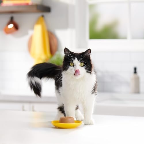 Meow Mix Paté in Gravy Wet Cat Food Variety Pack, Surf n’ Turf Patés 2.75 Ounce (Pack of 24)