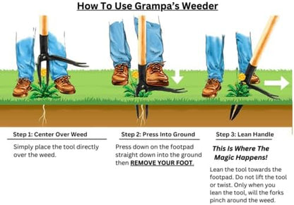 Grampa's Weeder - The Original Stand Up Weed Puller Tool with Long Handle - Made with Real Bamboo & 4-Claw Steel Head Design - Easily Remove Weeds Without Bending, Pulling, or Kneeling.