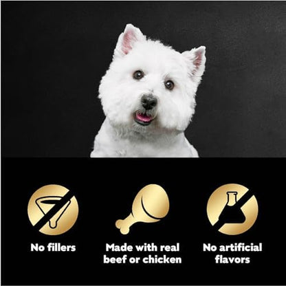 Cesar Filets in Gravy Wet Dog Food Filet Mignon Flavor and Rotisserie Chicken Flavor Variety Pack, 1.76 oz. Mini-Pouches (20 Count, Pack of 2)