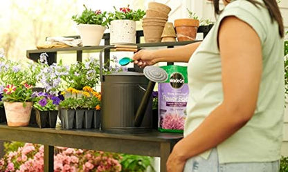 Miracle-Gro Water Soluble Bloom Booster Flower Food, Plant Food for Annual and Perennial Flowers, In-Ground and Container Plants, Roses, Hydrangeas, Hibiscus, 5.5 lb.