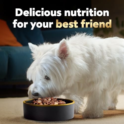 Cesar Home Delights Adult Wet Dog Food, Pot Roast with Spring Vegetables, Beef Stew, Turkey, Green Beans, & Potatoes, and Hearty Chicken & Noodle Variety Pack, 3.5 oz. (24 Count, Pack of 1)