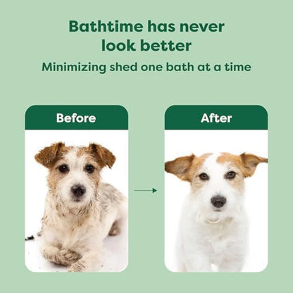 Earth Rated 3-in-1 Deshedding Dog Shampoo and Conditioner, Deodorizing Oatmeal Shampoos for Dogs and Puppies, Great for Smelly Pets, White Tea and Basil Scent, 16 oz