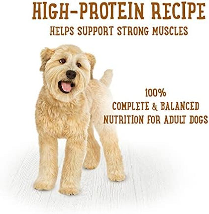 Purina Beneful Gravy Wet Dog Food Variety Pack, Prepared Meals Stew - (12) 10 oz. Tubs