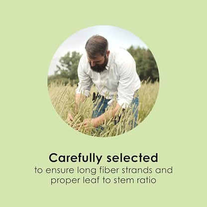 Kaytee All Natural Timothy Hay for Guinea Pigs, Rabbits & Other Small Animals, 12 Pound