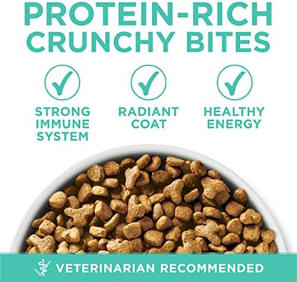 Purina ONE Sensitive Stomach, Sensitive Skin, Natural Dry Cat Food, +Plus Sensitive Skin and Stomach Formula - 16 lb. Bag