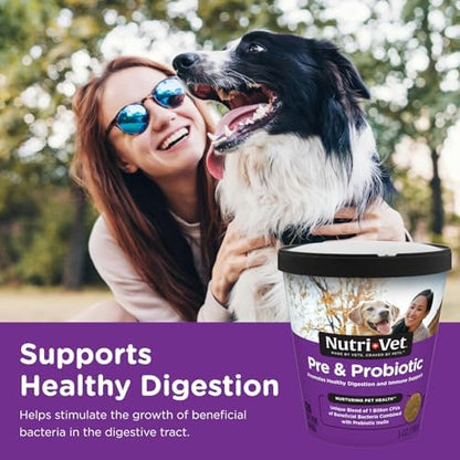 Nutri-Vet Pre & Probiotics for Dogs, Digestive Support, Upset Stomach, Puppy Probiotic, Pet Vitamins and Supplements, Dog Probiotics, Liver & Cheese Flavor, 120 Soft Chews