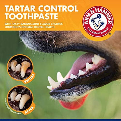 Arm & Hammer for Pets Tartar Control Kit for Dogs Contains Toothpaste, Toothbrush & Fingerbrush Reduces Plaque & Tartar Buildup, 3-Piece Kit, Banana Mint Flavor (Pack of 1)