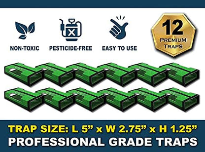 MaxGuard Spider + Insect Traps (12 pcs Box Trap) | Non-Toxic Extra Sticky Glue Traps, Kill Black Widow Hobo Brown Recluse Spiders and Other Crawling Bugs & Insects |