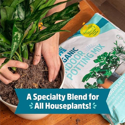 Back to the Roots 100% Organic Indoor Potting Mix (Value 12 Quart) | Promotes Healthy Houseplant Growth| Made in The USA