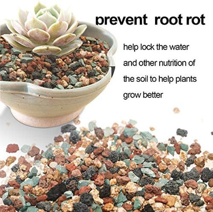 TOYPOPOR Mix Horticultural Lava Rock Pebbles Pumice Potting Soil Amendment Succulent Cactus Bonsai Gritty Rock Decorative Gravel Plant Drainage Volcanic for Terrarium Fairy Gardening Top Dressing 6lb
