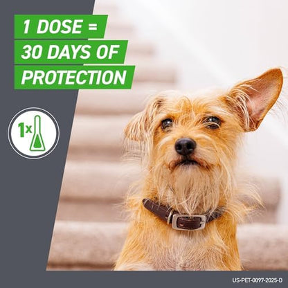FRONTLINE Plus Flea and Tick Treatment for Small Dogs Upto 5 to 22 lbs. 3 Treatments
