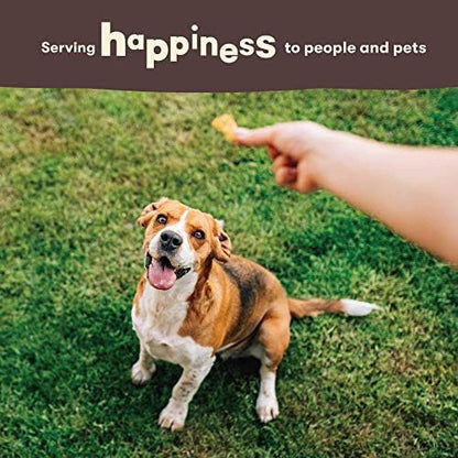 Pet 'n Shape Chik 'n Hide Twists – Chicken Wrapped Rawhide Natural Dog Treats, Small, 16 oz