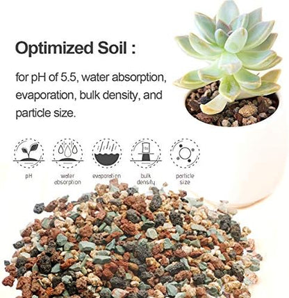 TOYPOPOR Mix Horticultural Lava Rock Pebbles Pumice Potting Soil Amendment Succulent Cactus Bonsai Gritty Rock Decorative Gravel Plant Drainage Volcanic for Terrarium Fairy Gardening Top Dressing 6lb
