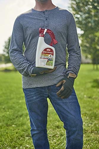 Ortho Home Defense Insect Killer for Lawn and Landscape Ready-To-Spray, Kills Ants, Ticks, Mosquitoes, Fleas & Spiders, Treats up to 5,300 sq. ft., 32 fl. oz.