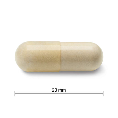 Jamieson Glucosamine 500 mg, Provides Joint Pain Relief, Osteoarthritis Support, and Cartilage Deterioration Protection. Non-GMO, Gluten-Free, 360 Capsules, Proudly Canadian