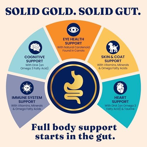 Solid Gold High Protein Dry Cat Food - Grain Free & Gluten Free Chicken Cat Dry Food w/Probiotics for Gut Health & Digestion - High Fiber & Omega 3 - Low Carb Superfood Kibble for Cats All Ages - 6LB