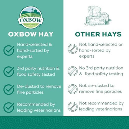 Oxbow Western Timothy Hay for Small Pets – All-Natural Grass Hay for Rabbits, Guinea Pigs, and Chinchillas – High Fiber for Digestive Health and Dental Support – 40 oz Bag