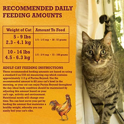 Purina Beyond Grain Free White Meat Chicken and Egg Recipe Natural Cat Food High Protein Cat Food Dry Formula - 5 lb. Bag