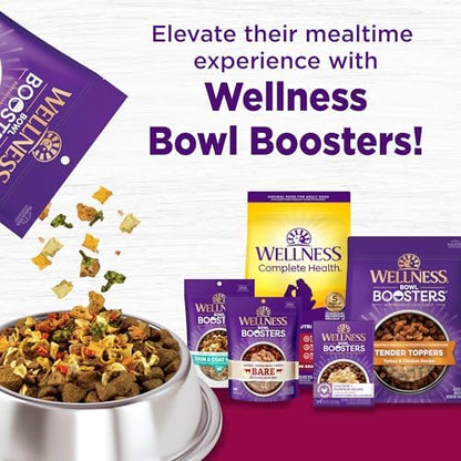 Wellness Complete Health Small Breed Adult Dry Dog Food with Grains and Real Turkey, Natural Ingredients, Omega Fatty Acids, and Probiotics, Made in USA (12-Pound Bag)”