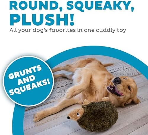 Outward Hound, Hedgehogz Plush Dog Toy, Large