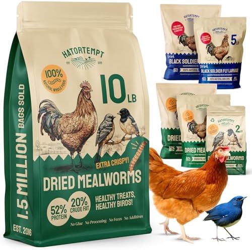 Bulk Dried Mealworms, 10 Lbs – Non-GMO Mealworms for Chicken & Birds - Insect Protein for Poultry Feed - Worms for Chickens, Laying Hens, Quail, Ducks - Bird Seed Alternative