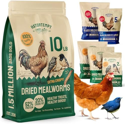 Bulk Dried Mealworms, 10 Lbs – Non-GMO Mealworms for Chicken & Birds - Insect Protein for Poultry Feed - Worms for Chickens, Laying Hens, Quail, Ducks - Bird Seed Alternative