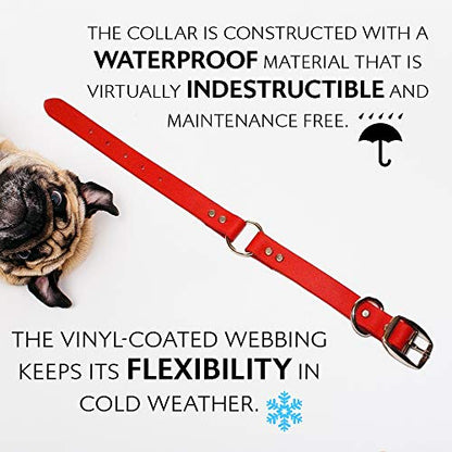 Regal Dog Products Small Red with Custom Engraved Waterproof Dog Collar and Leash Set | Waterproof Dog Collar with D Ring | Center Ring & 5'ft Leash | Matching Dog Collar and Leash for Dogs