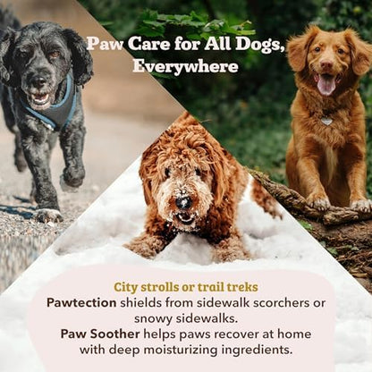 Natural Dog Company Paw Soother Balm & Wax for Dogs, Moisturizing Relief for Dry, Cracked Paws, Lick-Safe, Repairs & Heals, Protects Against Extreme Weather, Coconut Oil & Vitamin E, 2 oz Stick