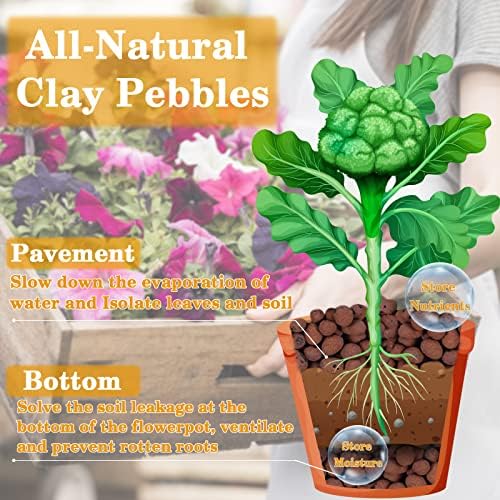 Legigo 10 LB Organic Leca Clay Pebbles for Plants, 4mm-16mm 100% Natural Leca Balls for Indoor Plants, Hydroton Clay Pebbles for Plants Hydroponic Aquaponics Growing Orchid Drainage Terrarium