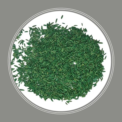Pennington Contractors Grass Seed Mix Central 7 lb