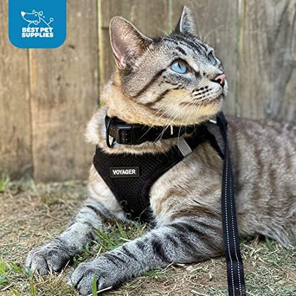 Voyager Step-In Air Dog Harness - All Weather Mesh, Reflective, No Pull Harness for Small, Medium Dogs, Cats - Secure with Hook & Loop Fastener, Buckle, Double D-Rings - Black/Black Trim, XS