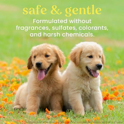 Burt's Bees for Pets Tearless Puppy 2-in-1 Shampoo and Conditioner with Buttermilk and Linseed Oil, 2pk, 95% Natural Origin Formulas, Best Gentle Shampoo for Puppies - Tear Free, 16 oz - 2 Pack