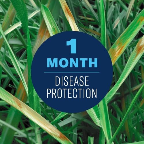 BioAdvanced Fungus Control for Lawns, Ready-to-Spray Fungicide for Lawns, 32 oz