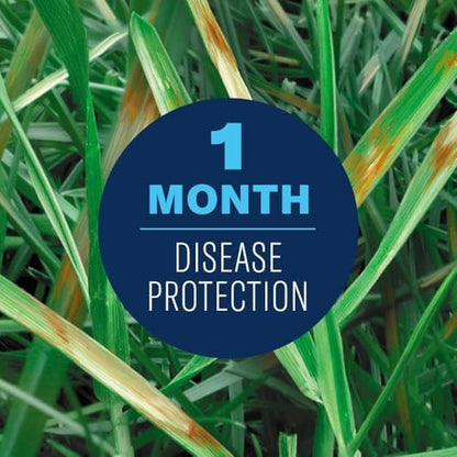 BioAdvanced Fungus Control for Lawns, Ready-to-Spray Fungicide for Lawns, 32 oz