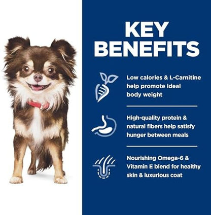 Hill's Science Diet Sensitive Stomach & Skin, Adult 1-6, Small & Mini Breeds Stomach & Skin Sensitivity Support, Dry Dog Food, Chicken Recipe, 4 lb Bag