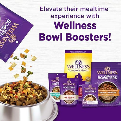 Wellness Complete Health Dry Dog Food with Grains, Made in USA with Real Meat & Natural Ingredients, All Breeds, Adult Dogs (Chicken & Oatmeal, 30-lb) – With Nutrients for Immune, Skin, & Coat Support