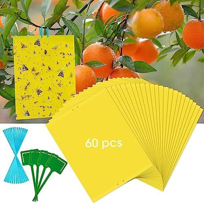 Dwcom 60 Pack Yellow Sticky Traps for Gnats Fruit Fly Traps for Indoors, Fungus Gnat Traps for House Indoor Fly Paper Indoor for Gnats Killer Indoor Trap