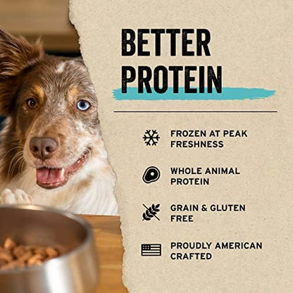 Vital Essentials Salmon Bites Dog Treats, 2.5 oz | Freeze-Dried Raw | Single Protein | Premium Quality High Protein Training Treats | Grain Free, Gluten Free, Filler Free