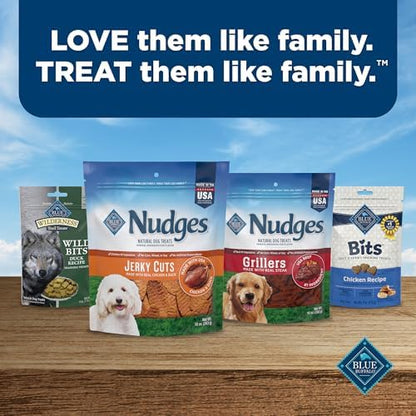 Blue Buffalo Nudges Jerky Bites Dog Treats, Made in the USA with Natural Ingredients, Bite-Sized Pieces, Chicken, 16-oz Bag
