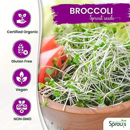 Nature Jims Sprouts Broccoli Sprout Seeds - Certified Organic for Indoor/Outdoor Use - Rich in Sulforaphane Healthy, Nutritious Broccoli Seeds Sprout in 5 Days - 8oz