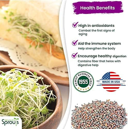 Nature Jims Sprouts Broccoli Sprout Seeds - Certified Organic for Indoor/Outdoor Use - Rich in Sulforaphane Healthy, Nutritious Broccoli Seeds Sprout in 5 Days - 8oz