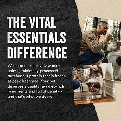 Vital Essentials Salmon Bites Dog Treats, 2.5 oz | Freeze-Dried Raw | Single Protein | Premium Quality High Protein Training Treats | Grain Free, Gluten Free, Filler Free