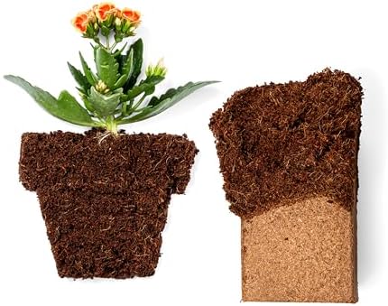 Coco Coir 650gm Bricks (10-Pack) - Organic Coco Coir for Plants - OMRI-Listed Cocopeat Bricks for Garden Soil & Potting Mixes - Coconut Fiber Mixes with Potting Soil for Indoor & Outdoor Plants