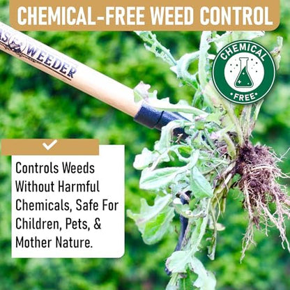 Grampa's Weeder - The Original Stand Up Weed Puller Tool with Long Handle - Made with Real Bamboo & 4-Claw Steel Head Design - Easily Remove Weeds Without Bending, Pulling, or Kneeling.