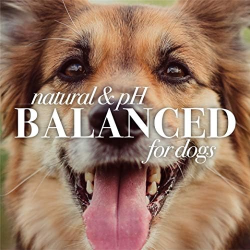 Burt's Bees for Pets Oatmeal Dog Shampoo with Colloidal Oat Flour and Honey, 95% Natural Origin Formulas, Shampoo for Dogs - Gentle Dog Shampoo, Best Dog Shampoo, 32 oz