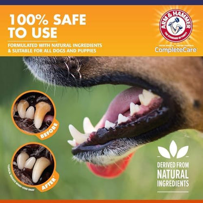 Arm & Hammer Complete Care Enzymatic Dog Toothpaste for Puppies and Adult Dogs - Pet Dental Care for Clean Teeth 6.2 Ounce (Pack of 6)