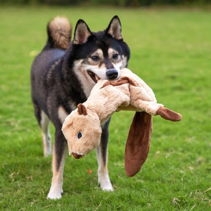 Best Pet Supplies 2-in-1 Stuffless Squeaky Dog Toys with Soft, Durable Fabric for Small, Medium, and Large Pets, No Stuffing for Indoor Play, Supports Active Biting and Play - 4 Figures, Small